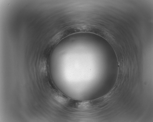 X0000053010132200507151957