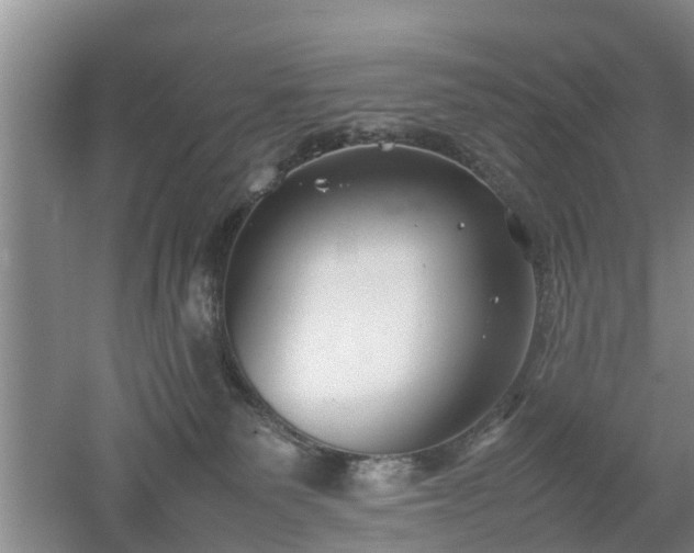 X0000053010135200507151957