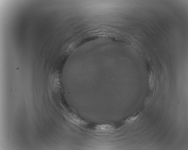 X0000053010137200507151957