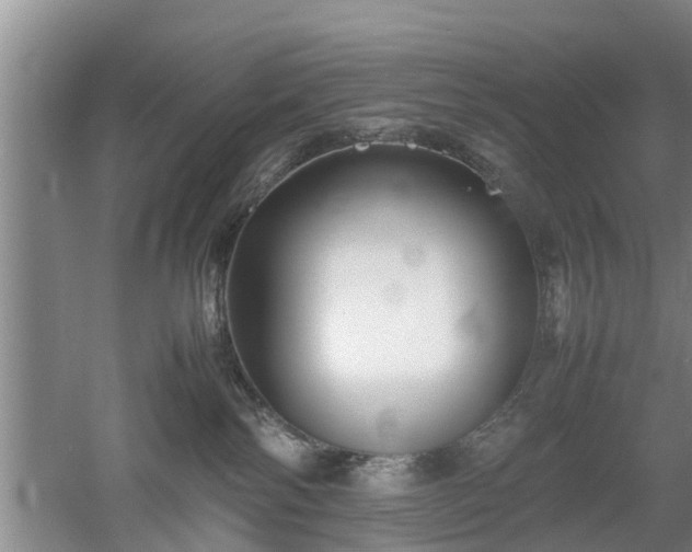 X0000053010138200507151957