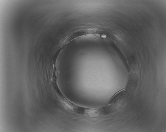 X0000053010139200507151957