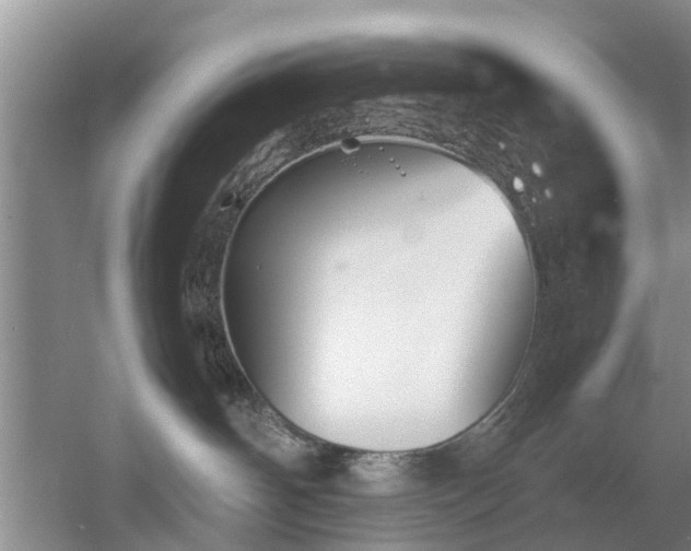 X0000053010142200507151957