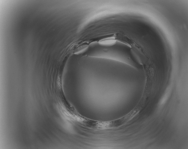 X0000053010143200507151957