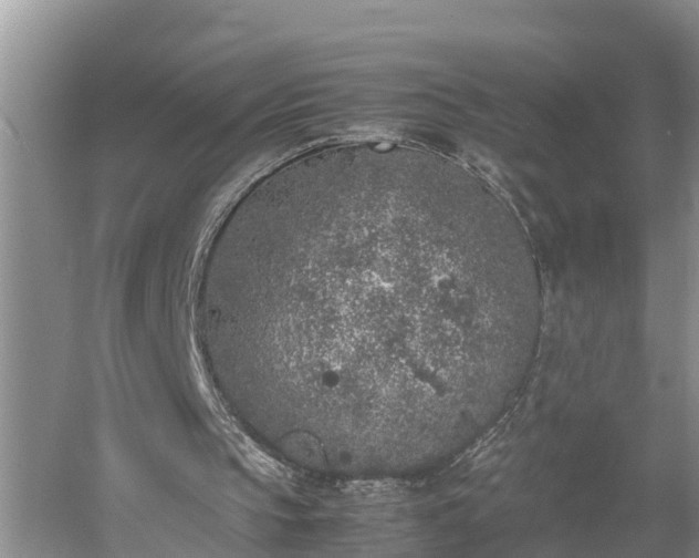 X0000053010145200507151956