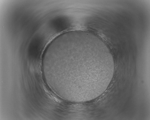 X0000053010146200507151956