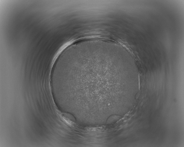 X0000053010147200507151956