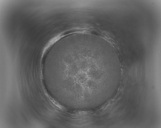 X0000053010149200507151956