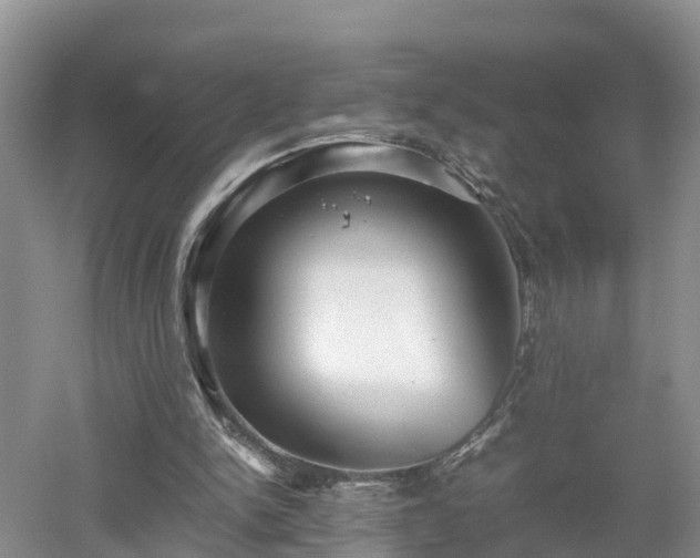 X0000053010150200507151957