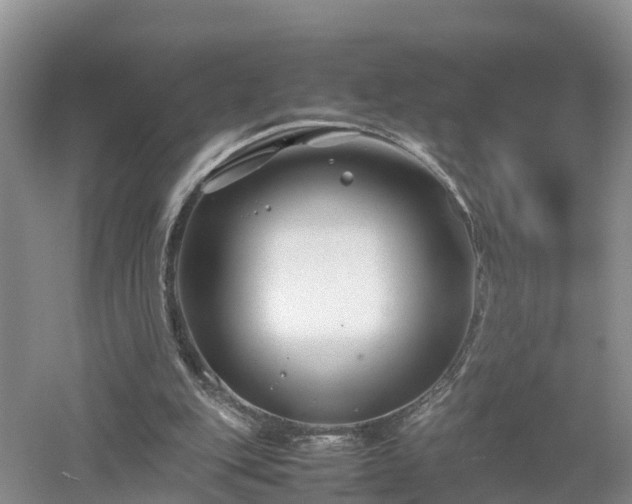 X0000053010151200507151957