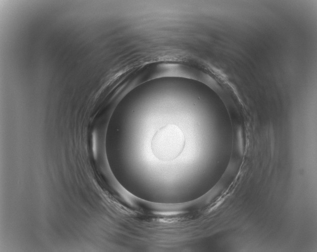 X0000053010154200507151957