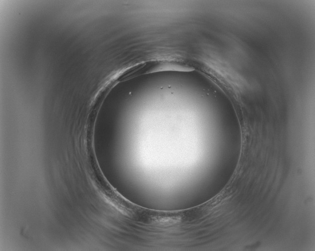 X0000053010155200507151957