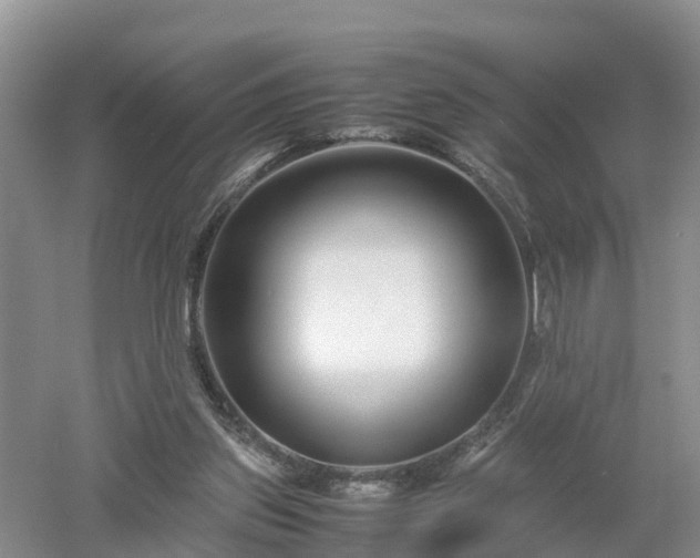 X0000053010157200507151957