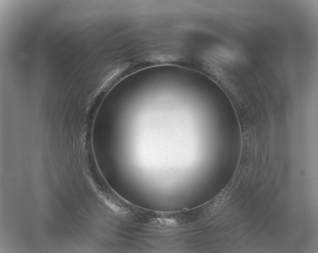 X0000053010159200507151957