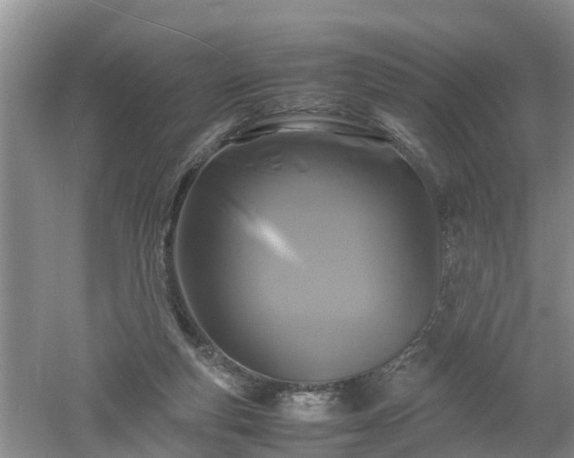 X0000053010163200507151957