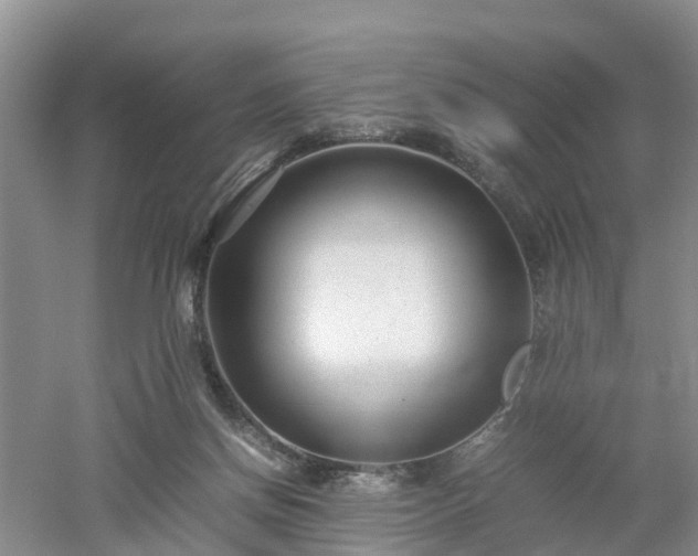 X0000053010166200507151957