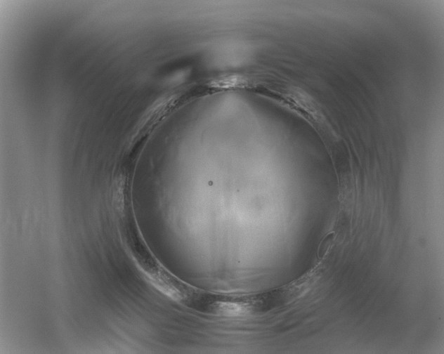 X0000053010167200507151957