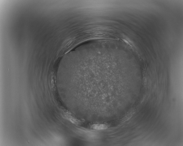 X0000053010169200507151957