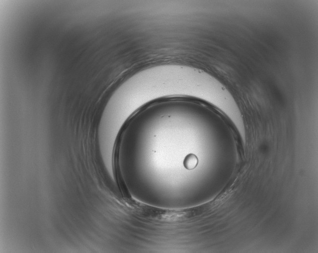 X0000053010172200507151957