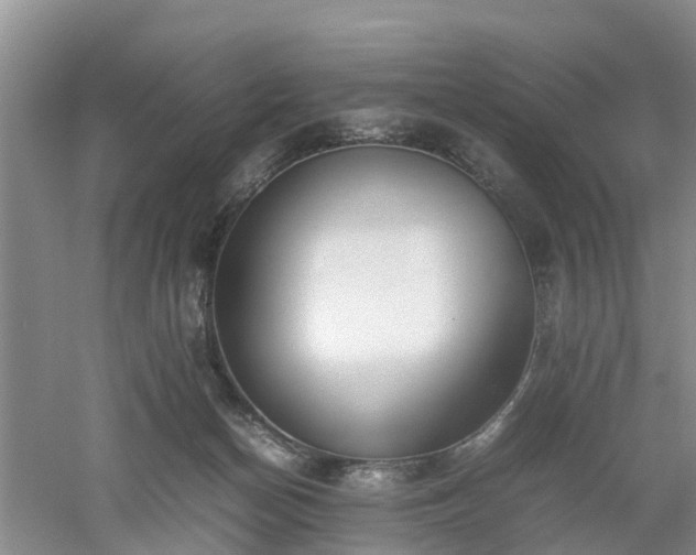 X0000053010174200507151957