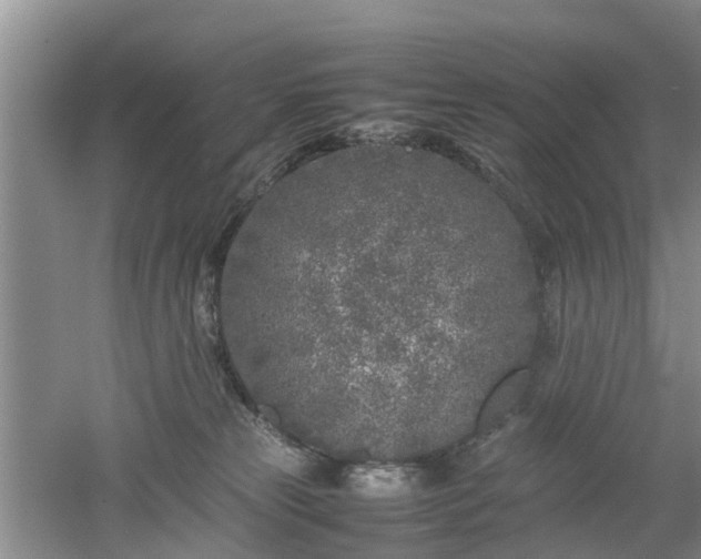 X0000053010181200507151957