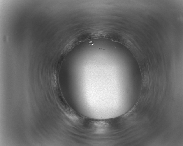 X0000053010183200507151957