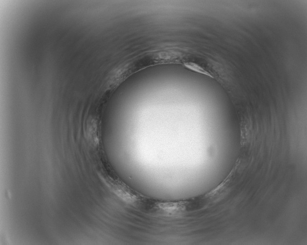 X0000053010187200507151957