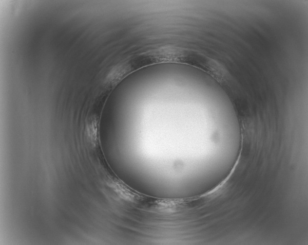 X0000053010190200507151957