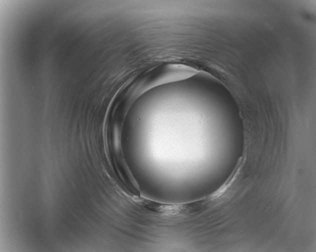 X0000053010192200507151957