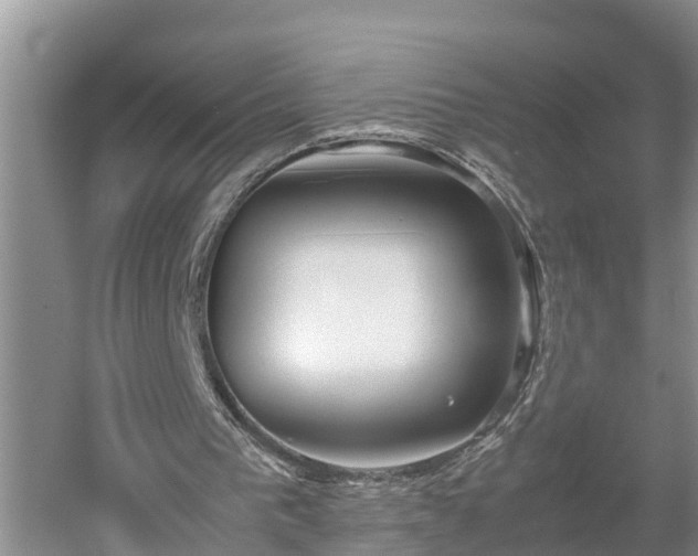 X0000053010193200507151956