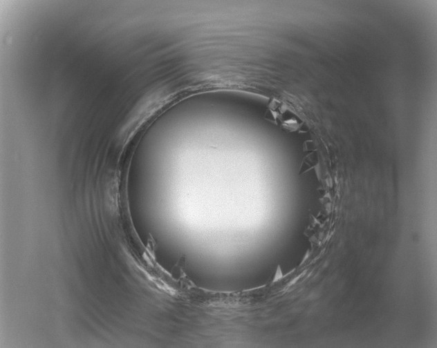 X0000053010194200507151956