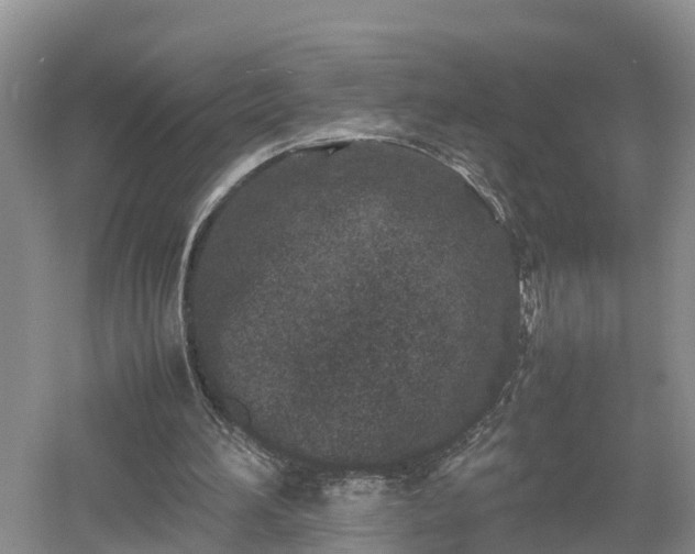 X0000053010196200507151956