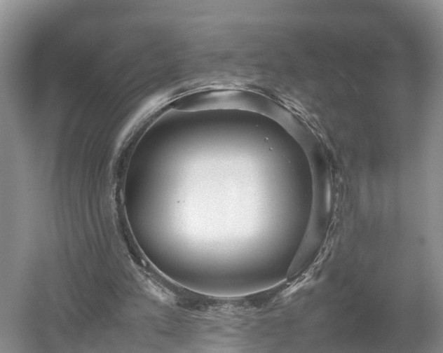 X0000053010197200507151956