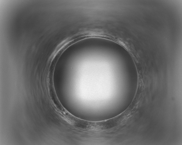 X0000053010199200507151956