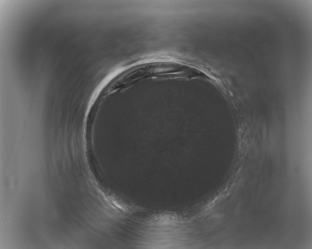 X0000053010200200507151956