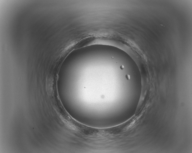 X0000053010201200507151956