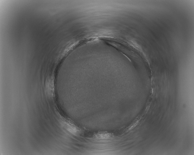 X0000053010202200507151956