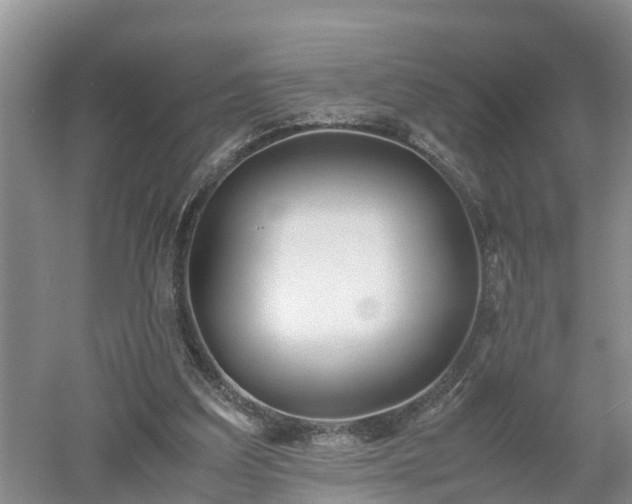 X0000053010203200507151956