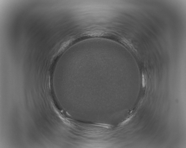 X0000053010205200507151956