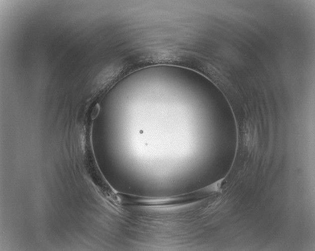 X0000053010206200507151956