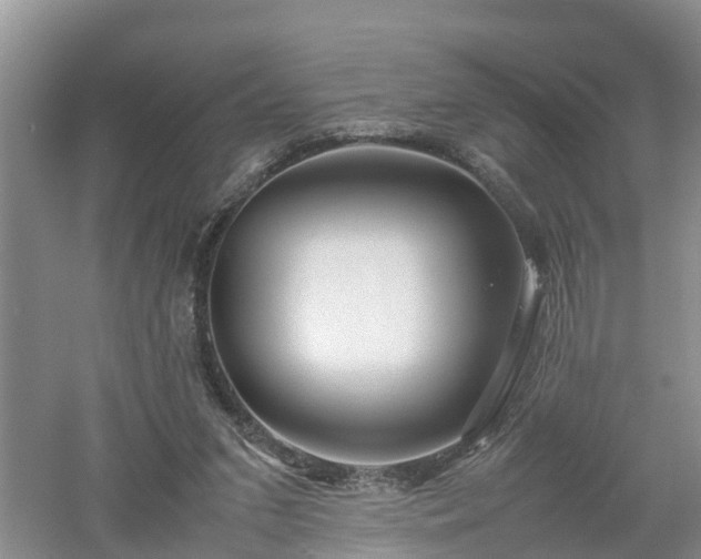 X0000053010207200507151956