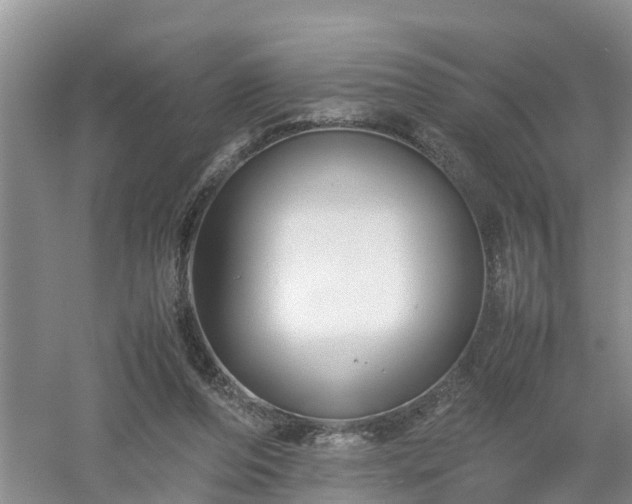 X0000053010208200507151956