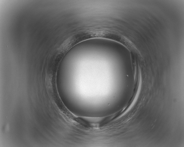 X0000053010209200507151956