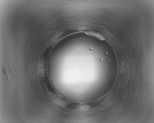 X0000053010210200507151956