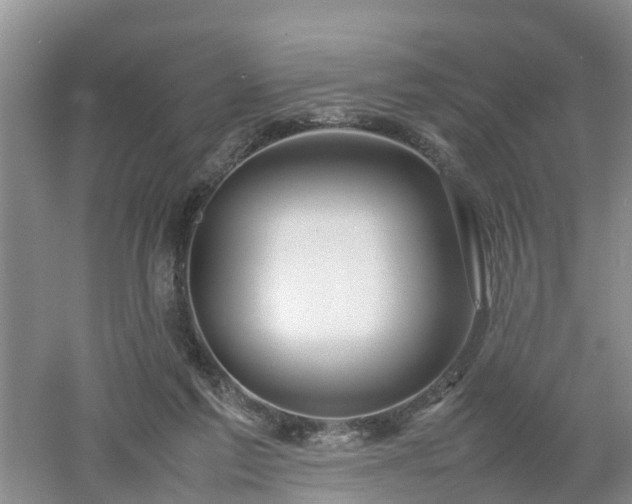 X0000053010213200507151956