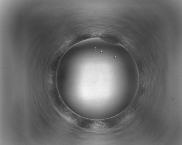 X0000053010215200507151956