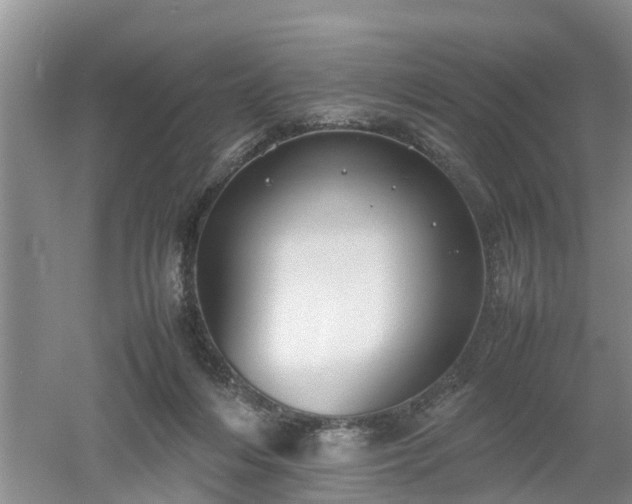 X0000053010216200507151956