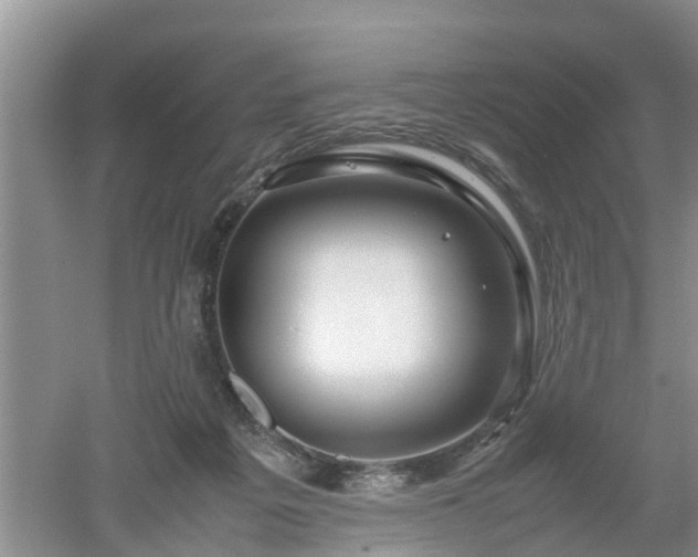 X0000053010217200507151956