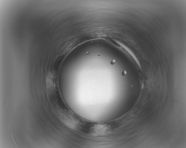 X0000053010218200507151956