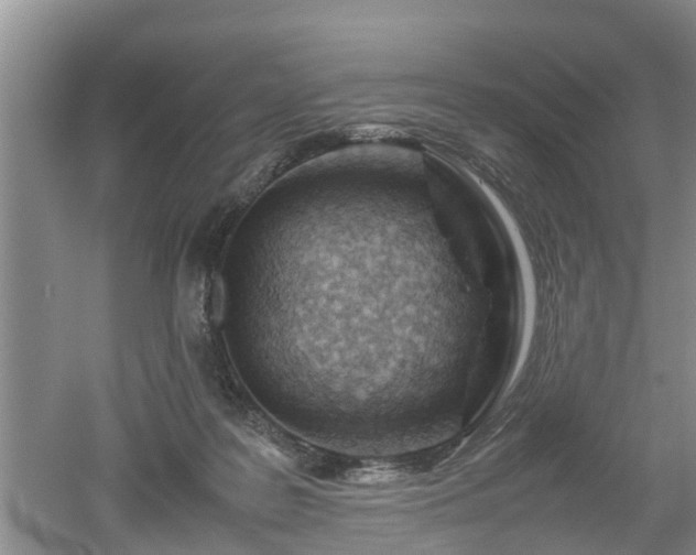 X0000053010219200507151956