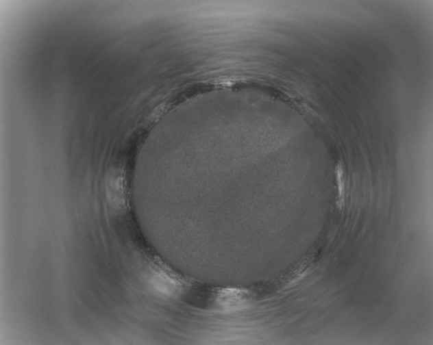 X0000053010222200507151956